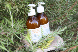 aloe-vera-para-el-pelo-caida-cabello